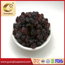 High Quality Dried Jumbo Golden Raisin in Hot Selling